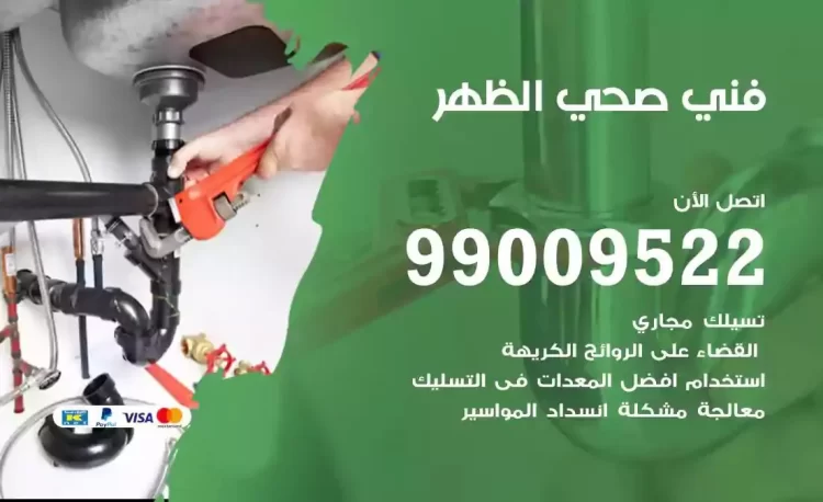 سباك فني صحي الظهر