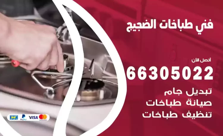 فني طباخات الضجيج