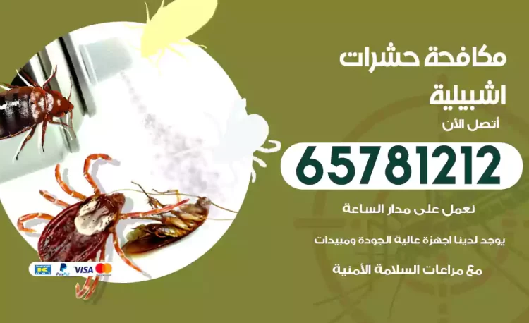 مكافحة حشرات اشبيلية