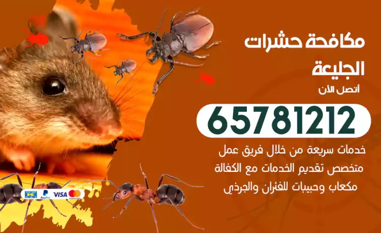 مكافحة حشرات الجليعة