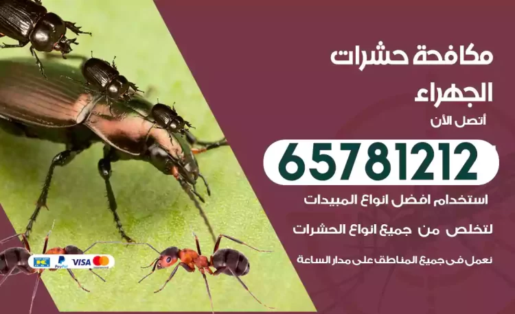 مكافحة حشرات الجهراء