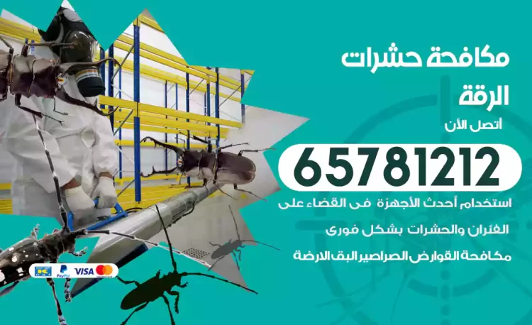 مكافحة حشرات الرقة