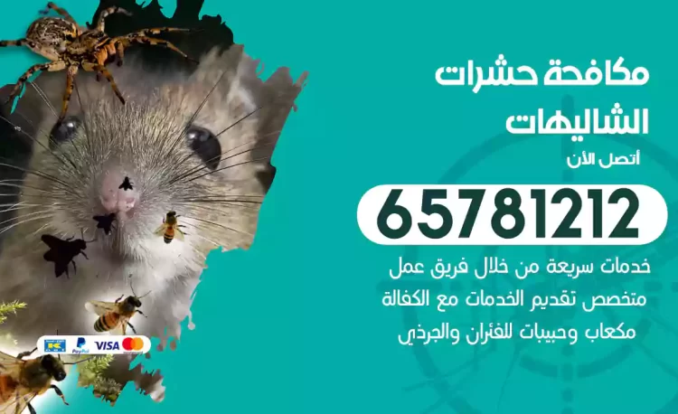 مكافحة حشرات الشاليهات