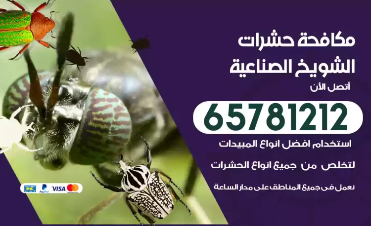 مكافحة حشرات الشويخ الصناعية