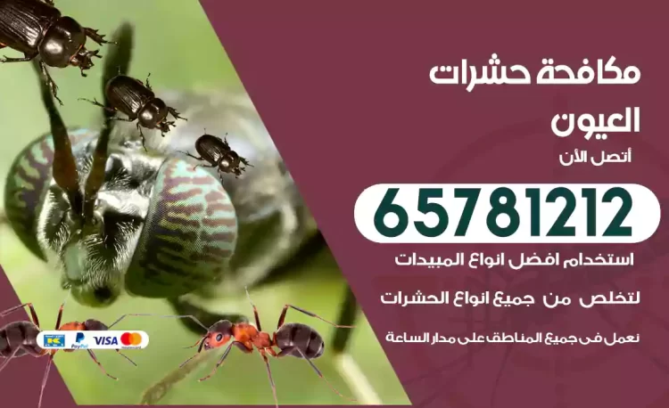 مكافحة حشرات العيون
