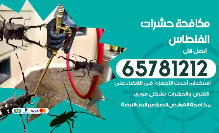 مكافحة حشرات الفنطاس