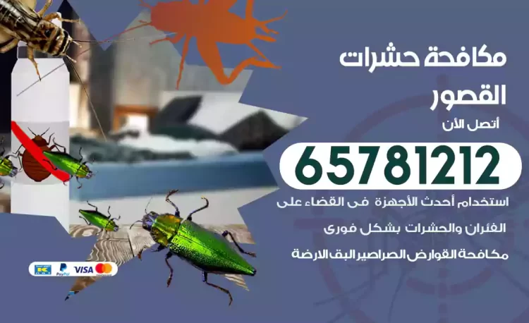 مكافحة حشرات القصور