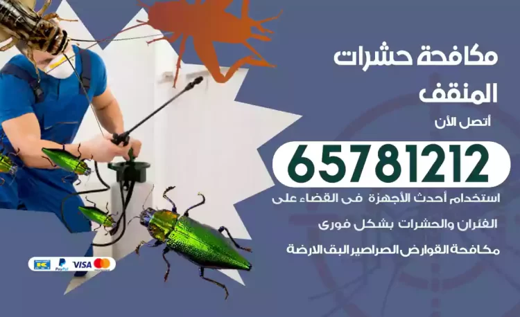 مكافحة حشرات المنقف