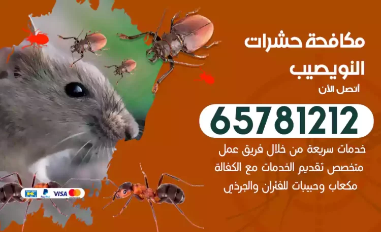 مكافحة حشرات النويصيب