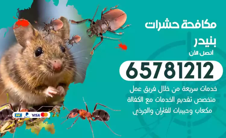 مكافحة حشرات بنيدر