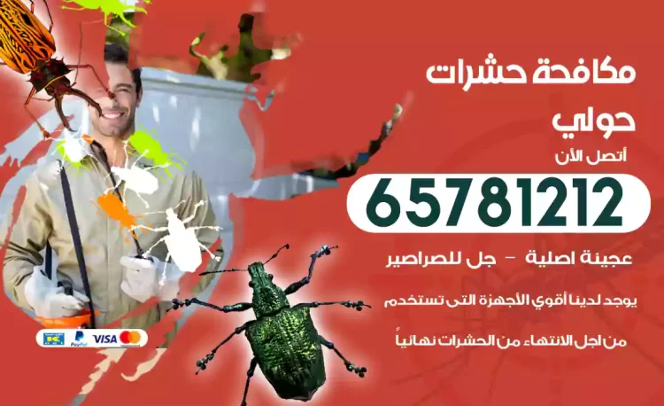مكافحة حشرات حولي