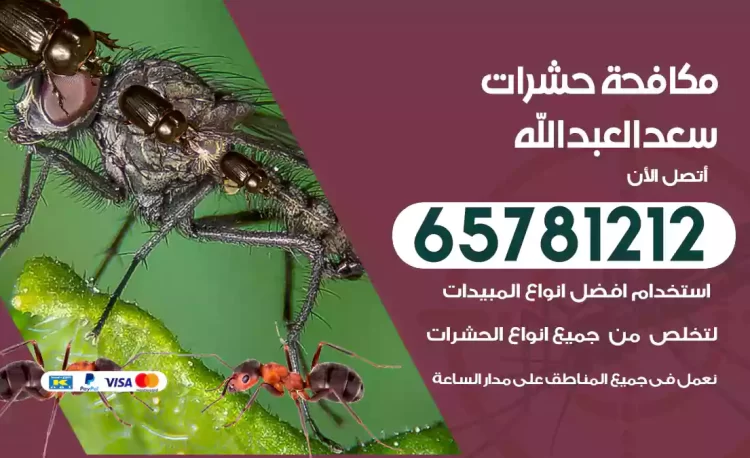 مكافحة حشرات سعد العبدالله