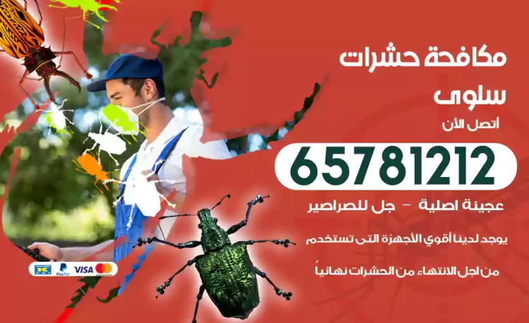 مكافحة حشرات سلوى