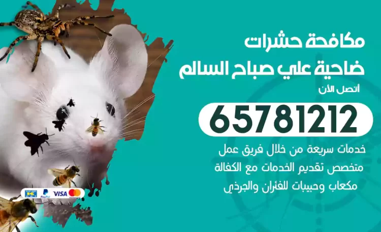 مكافحة حشرات ضاحية علي صباح السالم