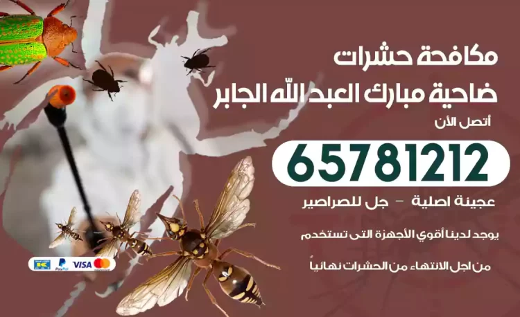 مكافحة حشرات ضاحية مبارك العبد الله الجابر