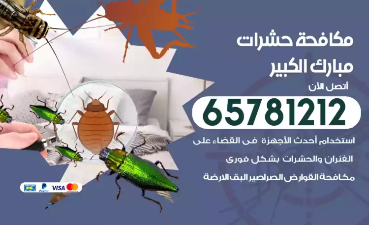 مكافحة حشرات مبارك الكبير