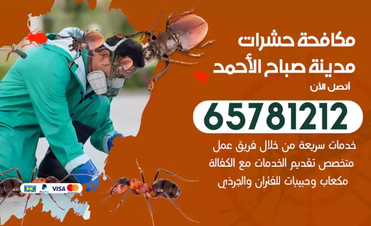 مكافحة حشرات مدينة صباح الأحمد