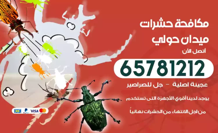 مكافحة حشرات ميدان حولي