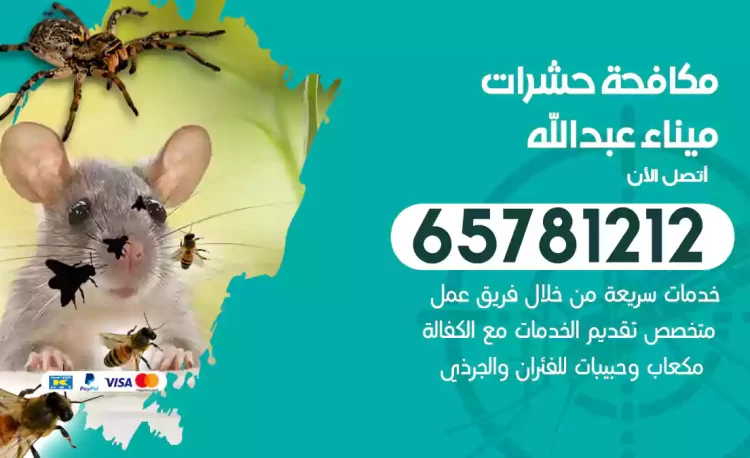 مكافحة حشرات ميناء عبدالله